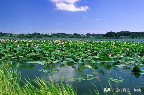 中国最大淡水湖十大排名(中国淡水湖排名)