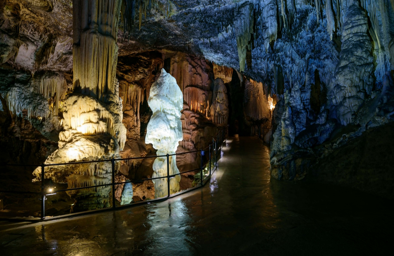 堪称地球上最懒的生物（十年不进食的两栖动物）(图6)