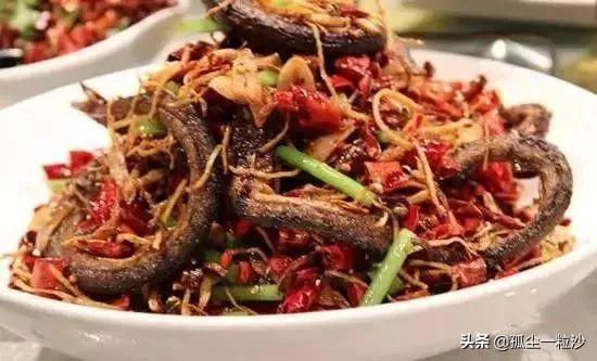 项城市属于哪个市(河南项城属于哪个市)