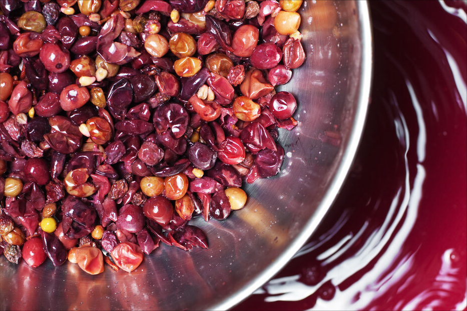 红葡萄酒半干型和干型什么区别（葡萄酒干型和半干型的区别）(图4)