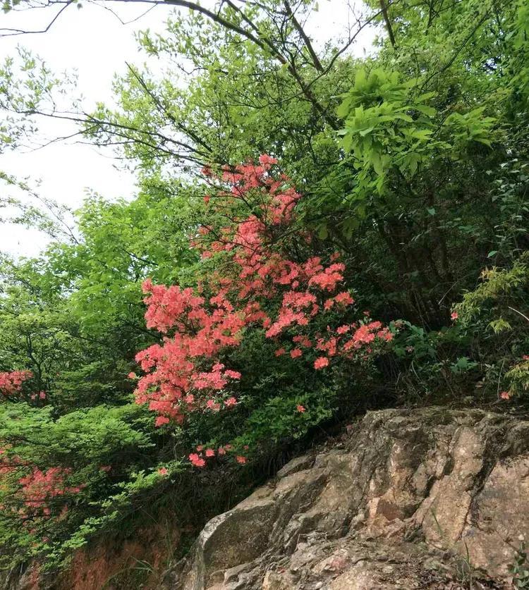 衡山县属于哪个省哪个市(湖南省衡山县属于哪个市)