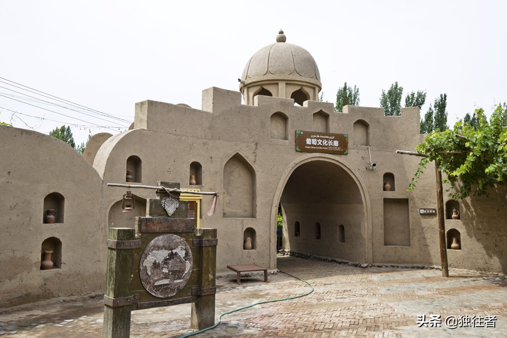 葡萄沟的资料_又多又好的葡萄地