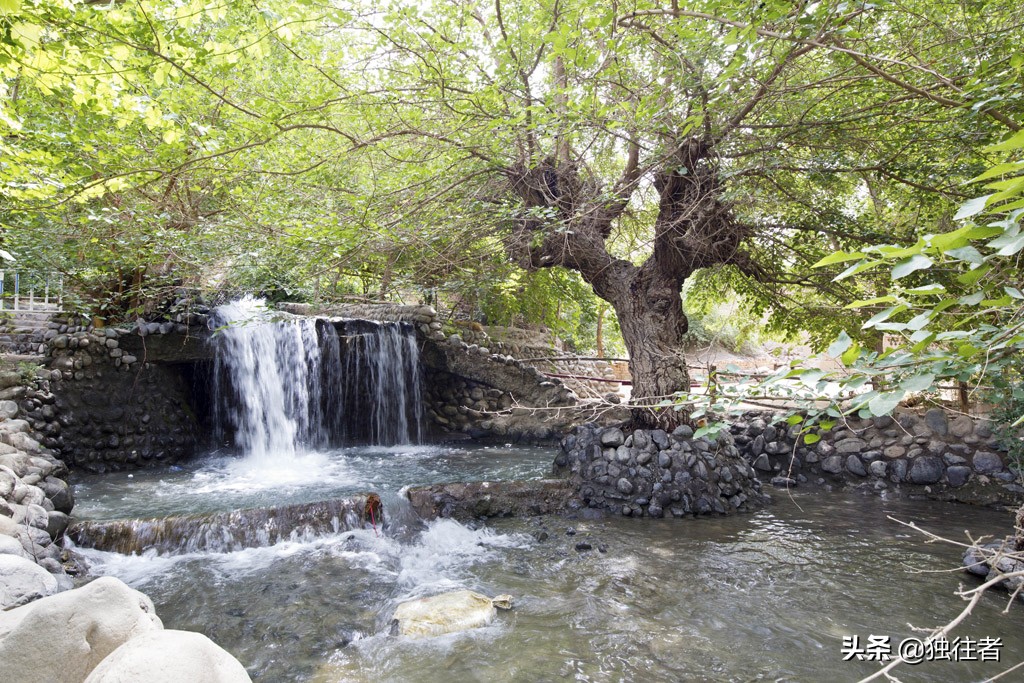 葡萄沟的资料_又多又好的葡萄地