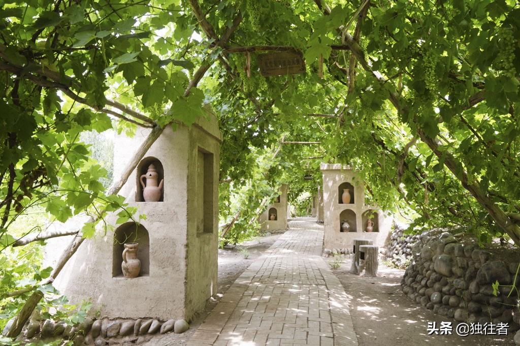 葡萄沟的资料_又多又好的葡萄地