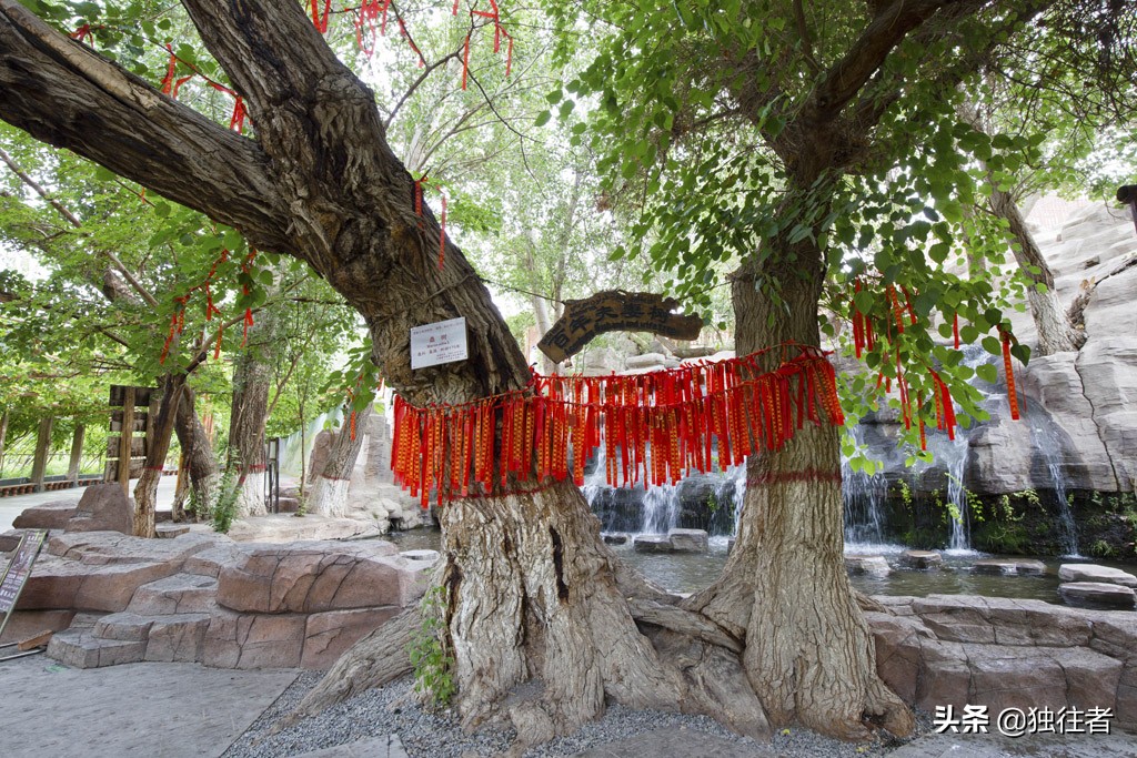 葡萄沟的资料_又多又好的葡萄地