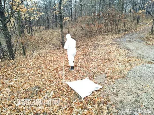 蜱虫会飞吗(请问蜱虫有翅膀会飞吗)