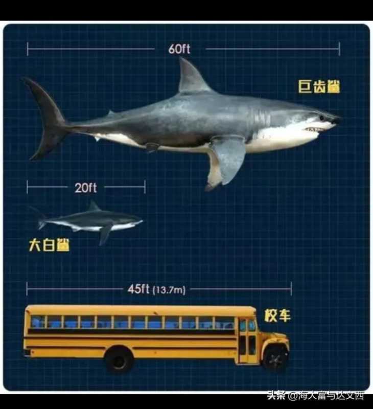 动物之最（盘点“史前动物”之最）