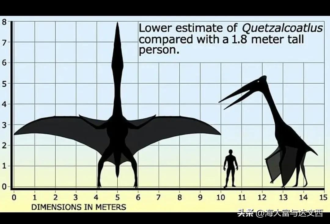动物之最（盘点“史前动物”之最）