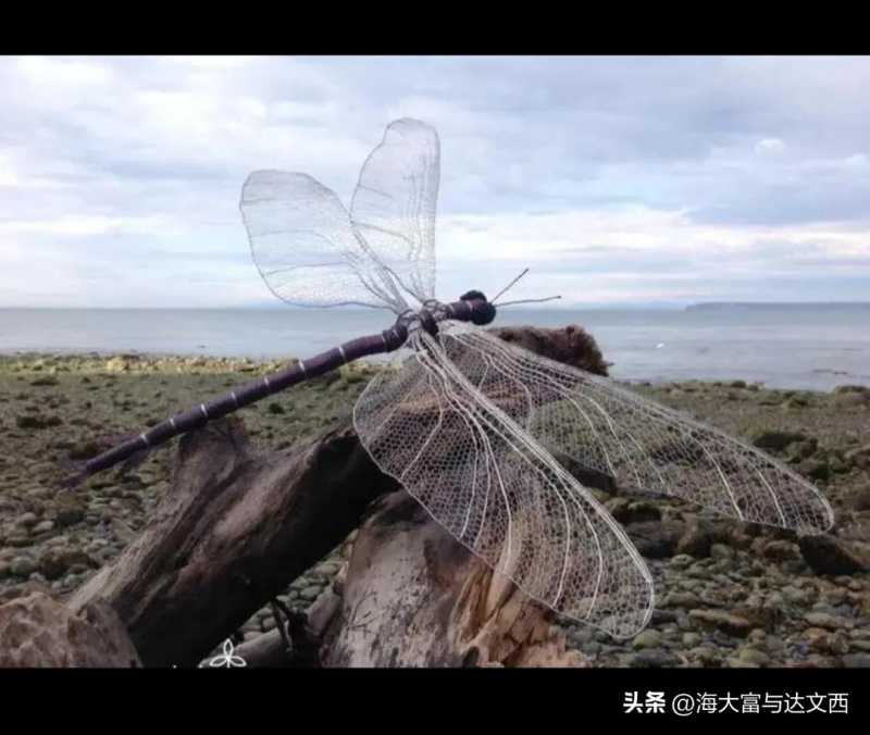 动物之最（盘点“史前动物”之最）