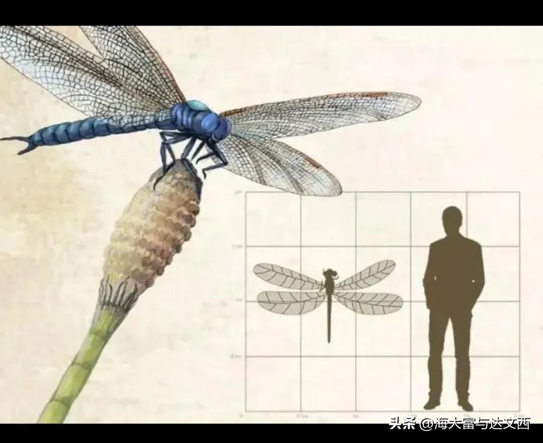 动物之最（盘点“史前动物”之最）