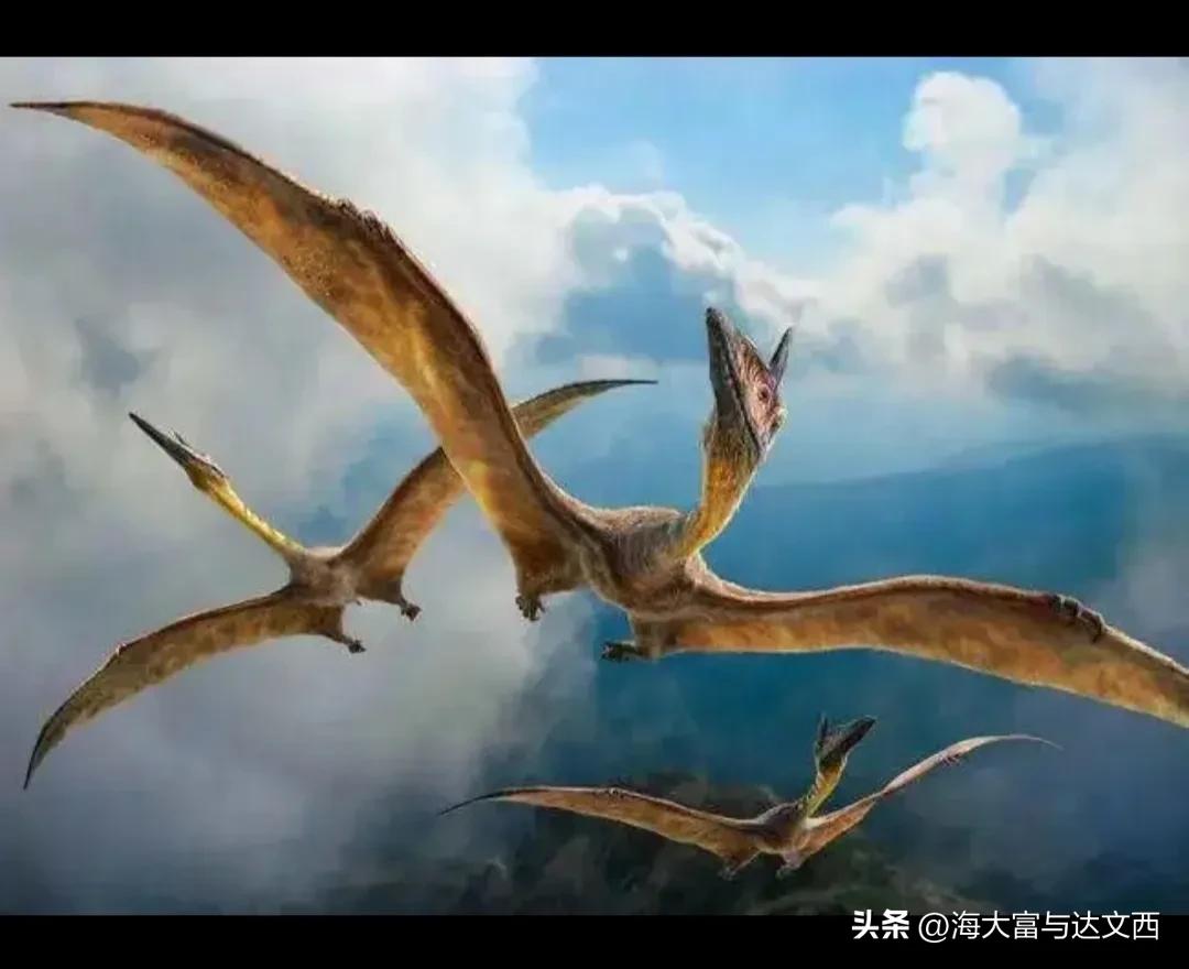 动物之最（盘点“史前动物”之最）