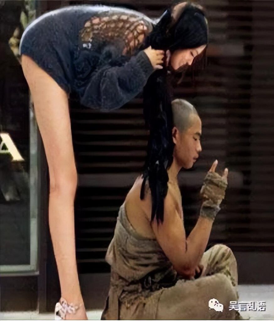 身是菩提树是什么意思_最美佛语