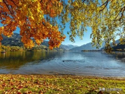 ​每年10月10日是什么节日_关于十月十的谚语