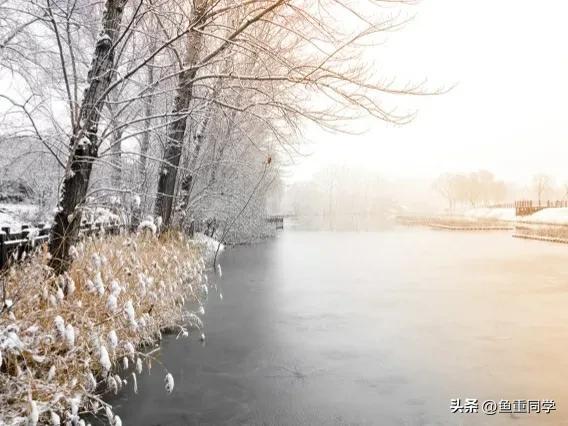 每年10月10日是什么节日_关于十月十的谚语