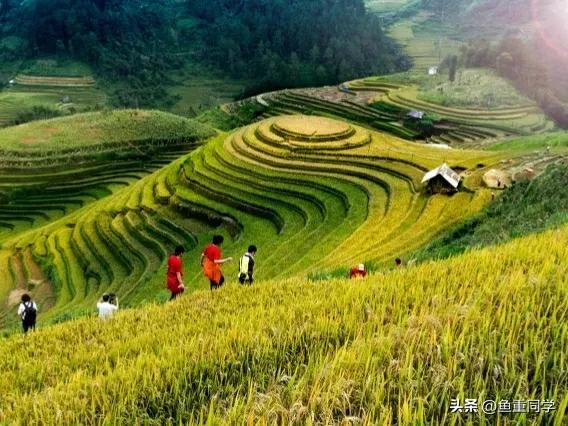 每年10月10日是什么节日_关于十月十的谚语