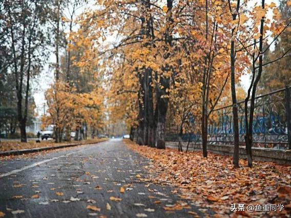 每年10月10日是什么节日_关于十月十的谚语