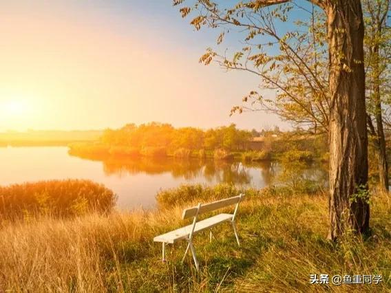 每年10月10日是什么节日_关于十月十的谚语