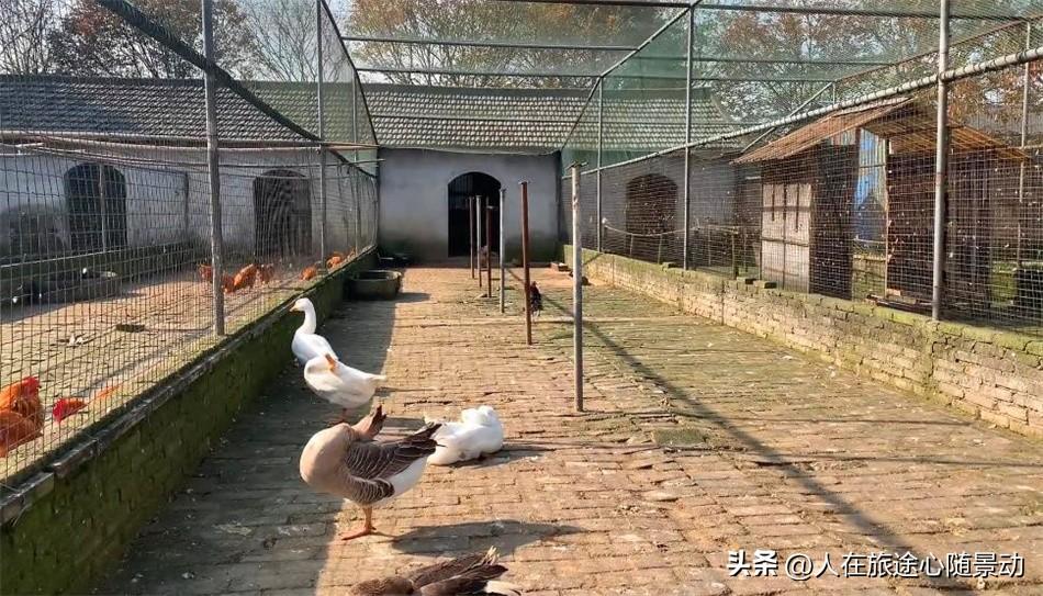 浙江平湖旅游景点有哪些(平湖有什么好玩的景点)