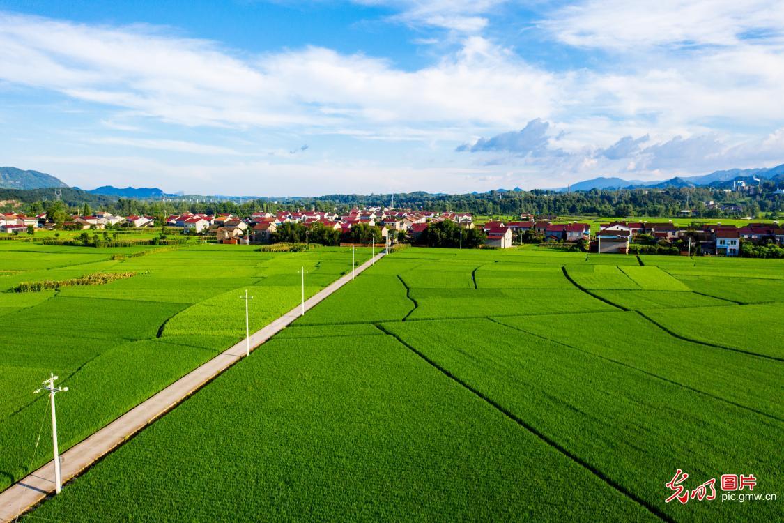 远安县属于哪个市(湖北远安县属于哪个市)