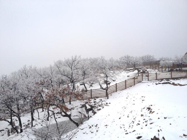 连云港市城市旅游景点（连云港十大旅游景点）(20)