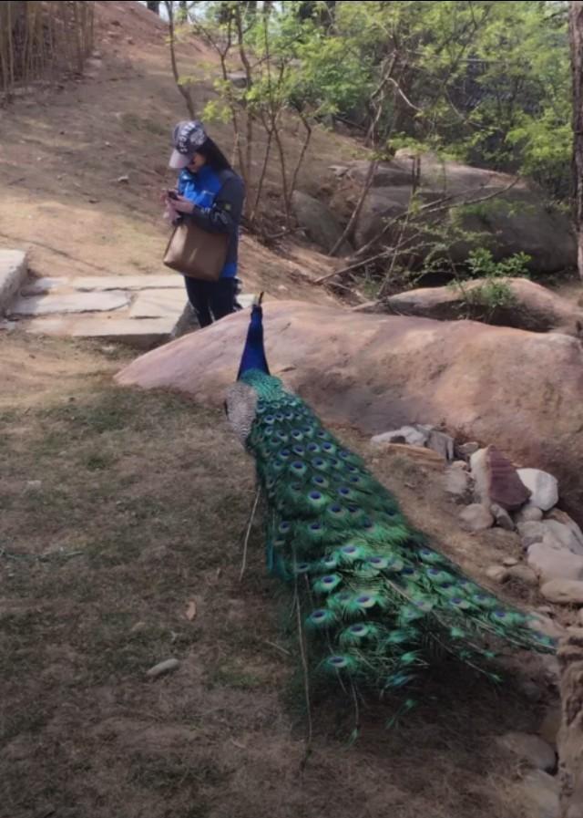 连云港市城市旅游景点（连云港十大旅游景点）(9)