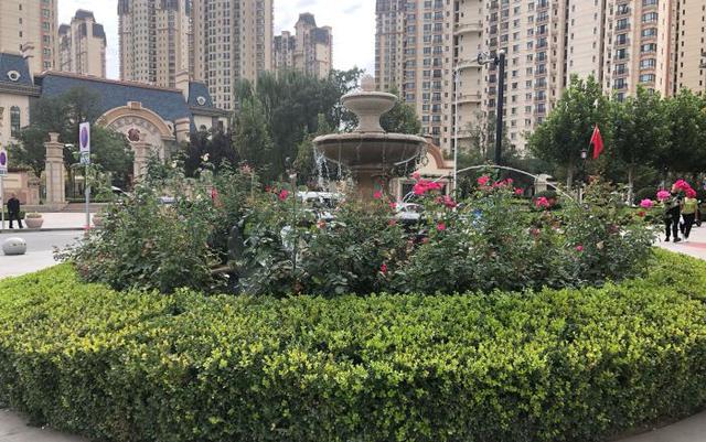 甘肃兰州最好的高中（甘肃兰州出类拔萃六所好高中）(4)