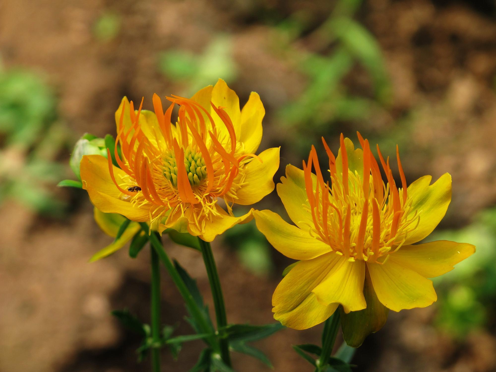 翁牛特旗属于哪个市(翁牛特旗属于县还是区)