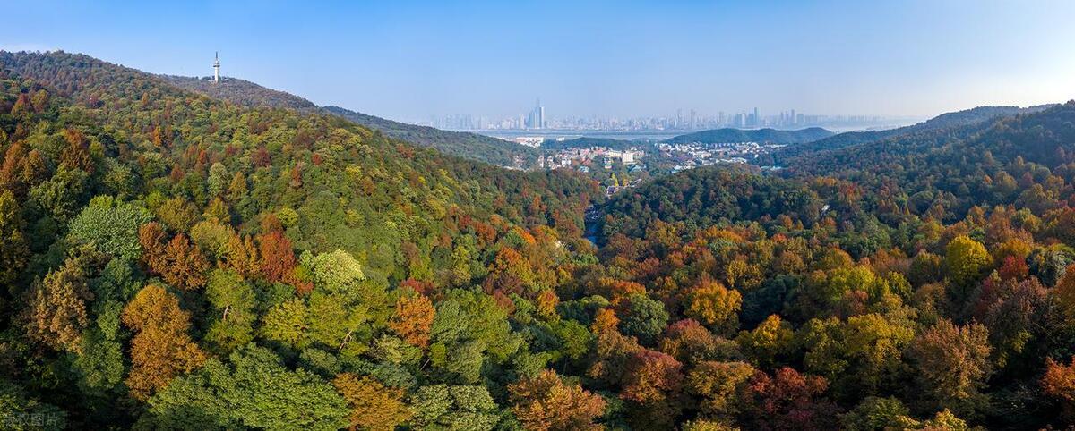 岳麓区是哪个省哪个市(岳麓区在长沙哪个位置)