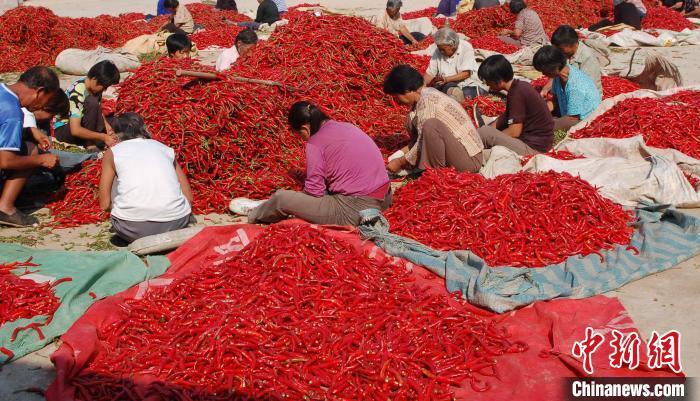鸡泽县属于哪个市(河北鸡泽县属于哪个市)