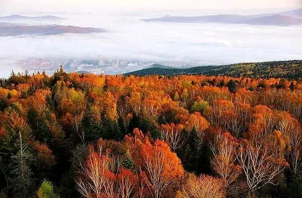 黑龙江省伊春市地形简介 黑龙江省伊春市基本概况(6)