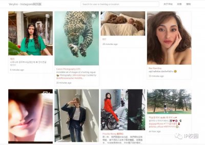 ​INS中国网站 赶快来看