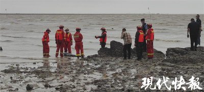 ​东亚江豚搁浅连云港海边礁石滩，多部门联手紧急救助