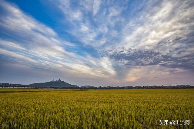 上海市拆迁村庄名单(上海市2025年最新拆迁村名单出炉)(2)