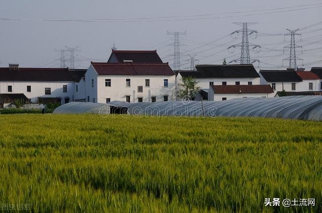 上海市拆迁村庄名单(上海市2025年最新拆迁村名单出炉)(1)