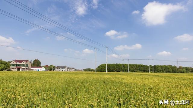 上海市拆迁村庄名单(上海市2025年最新拆迁村名单出炉)(4)