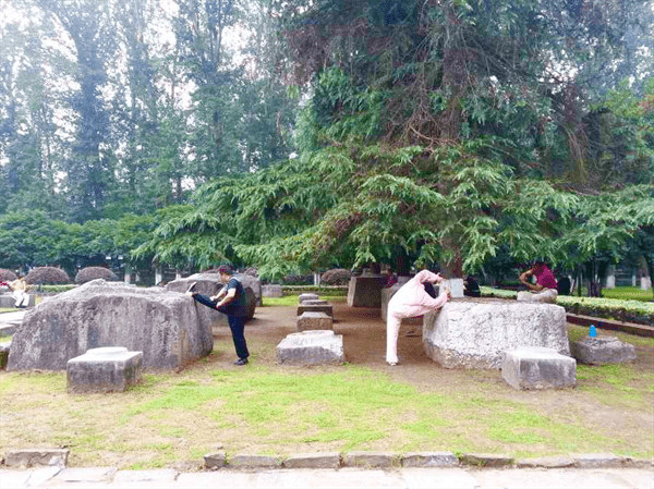 南京有哪些景点值得去看(南京最值得去的景点推荐)