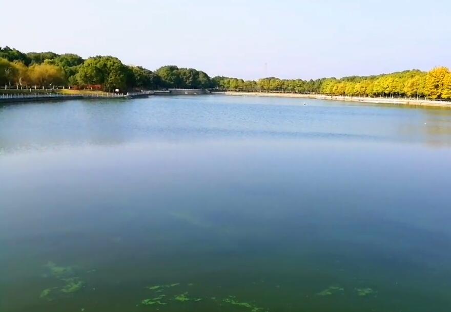 钟祥市属于什么市(湖北钟祥市属于哪个市)