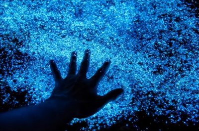 ​蓝眼泪出现的条件（出现了蓝眼泪现象这是什么样的预兆）