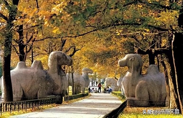 南京有哪些旅游景点(南京旅游必去景点推荐)