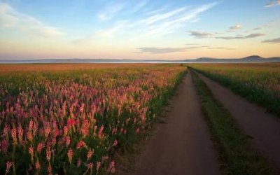 ​平安祝福语简短，祝健康平安的句子