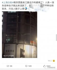 ​白蚁如何消灭(如何对付白蚁？可掌握这些技巧)