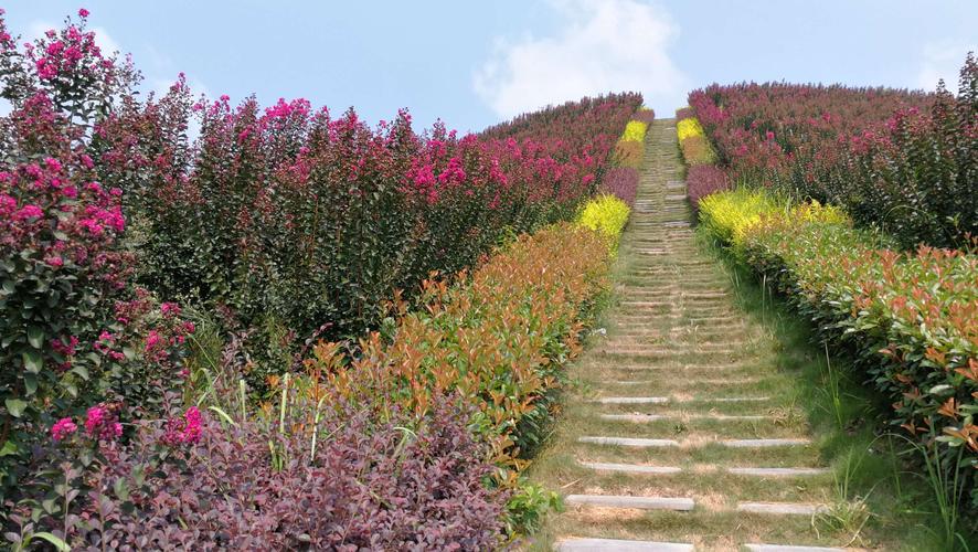 4.紫薇山风景区