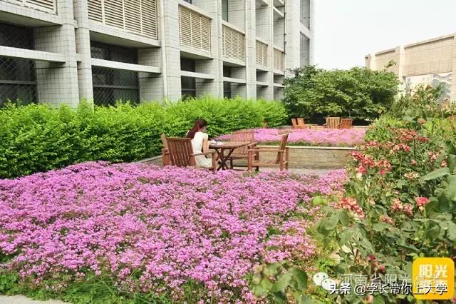 河南郑州黄河科技学院简介（河南高校大探访）(16)