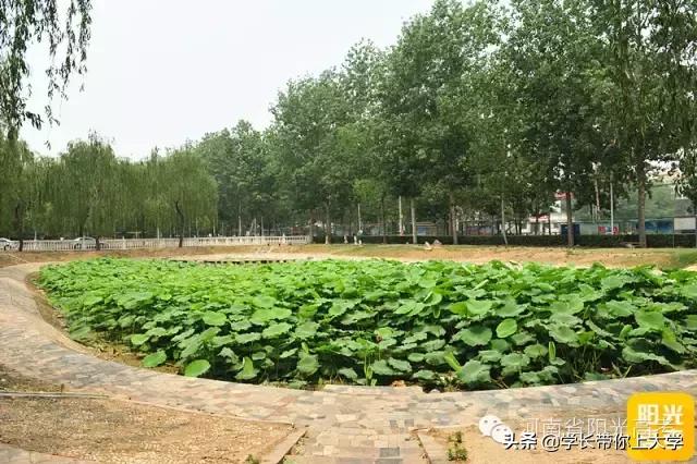 河南郑州黄河科技学院简介（河南高校大探访）(55)