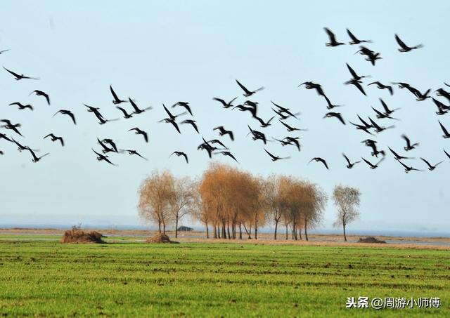 自驾长沙周边旅游攻略最佳线路（长沙周边2小时自驾游去哪玩）(32)