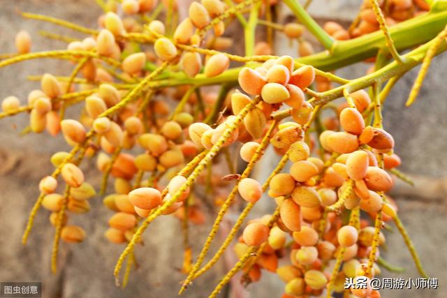 自驾长沙周边旅游攻略最佳线路（长沙周边2小时自驾游去哪玩）(13)