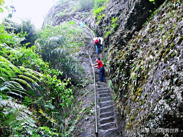 厦门五老峰旅游攻略（日行千里一睹闽西神山）(52)