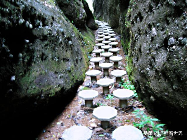 厦门五老峰旅游攻略（日行千里一睹闽西神山）(51)