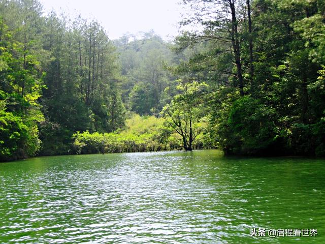 厦门五老峰旅游攻略（日行千里一睹闽西神山）(42)