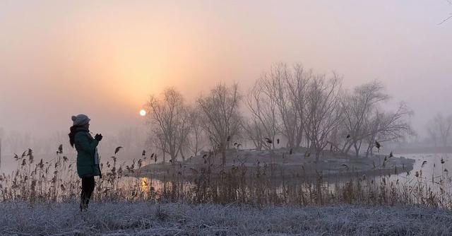 盐城市丹顶鹤自然保护区简介（探访江苏盐城丹顶鹤湿地保护区）(50)
